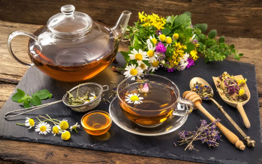 các loại trà thảo dược tốt cho sức khỏe, trà thảo dược tốt cho sức khỏe, trà thảo dược