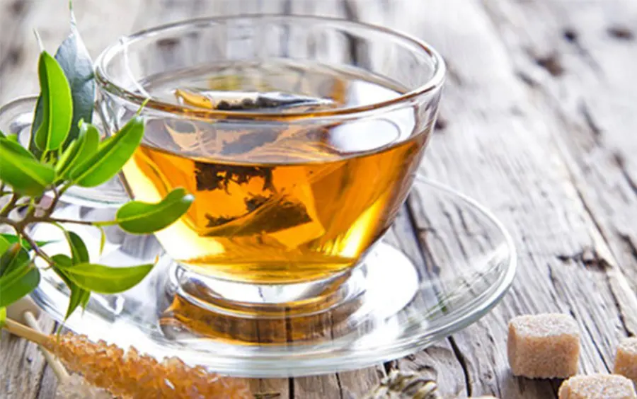 trà đinh lăng có tác dụng gì, tác dụng của trà đinh lăng, trà đinh lăng, công dụng, của trà đinh lăng, uống trà đinh lăng có tác dụng gì, cách pha trà đinh lăng