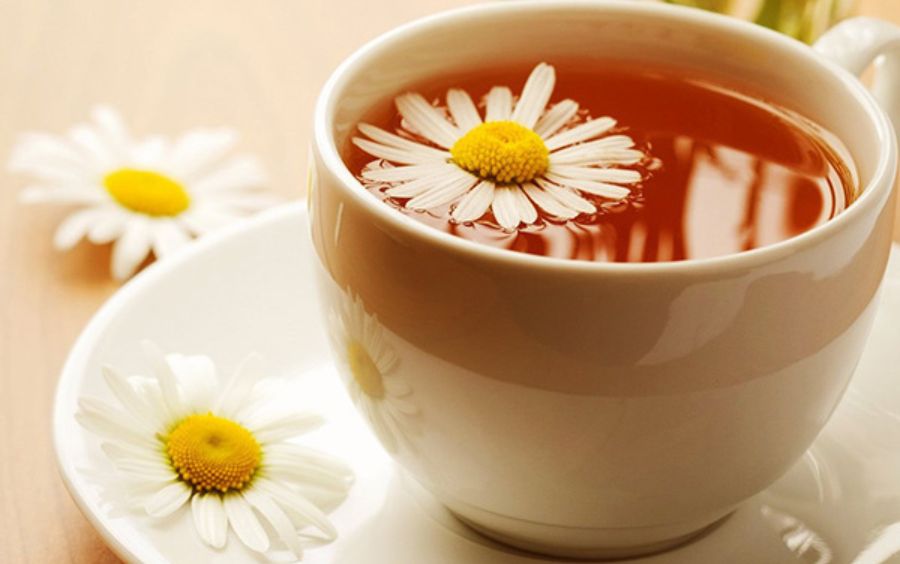 trà hoa cúc lợi sữa, trà hoa cúc lợi sữa mua ở đâu, cách uống trà hoa cúc lợi sữa, trà hoa cúc có tác dụng gì, cách pha trà hoa cúc, uống trà hoa cúc có lợi sữa không